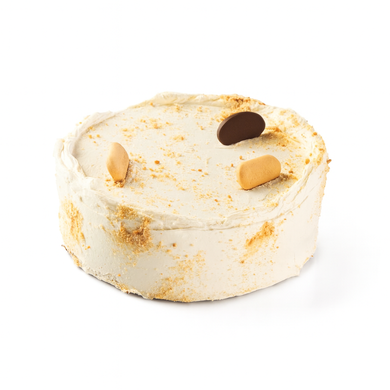 Sweet cactus a partager gateau au biscuit 1000g 800x800