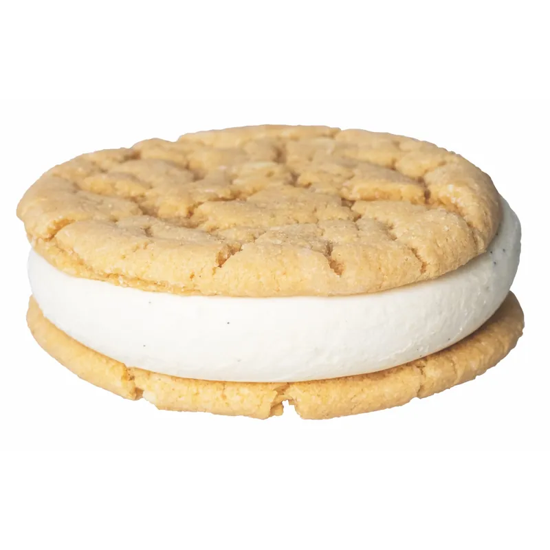 Sweet cactus ice cream sandwich chocolat blanc chip vanille