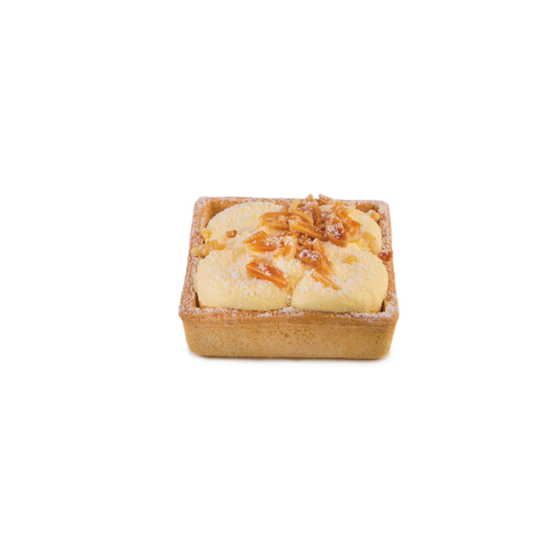 Sweet cactus gateau familiaux tartella della nonna v2