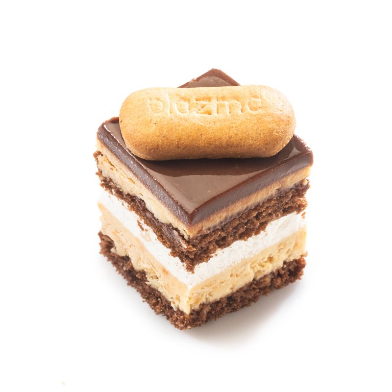 Sweet cactus individuel biscuit cake 30g