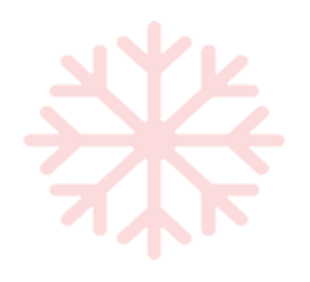 Picto flocon resized